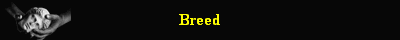 Breed - Screenshot